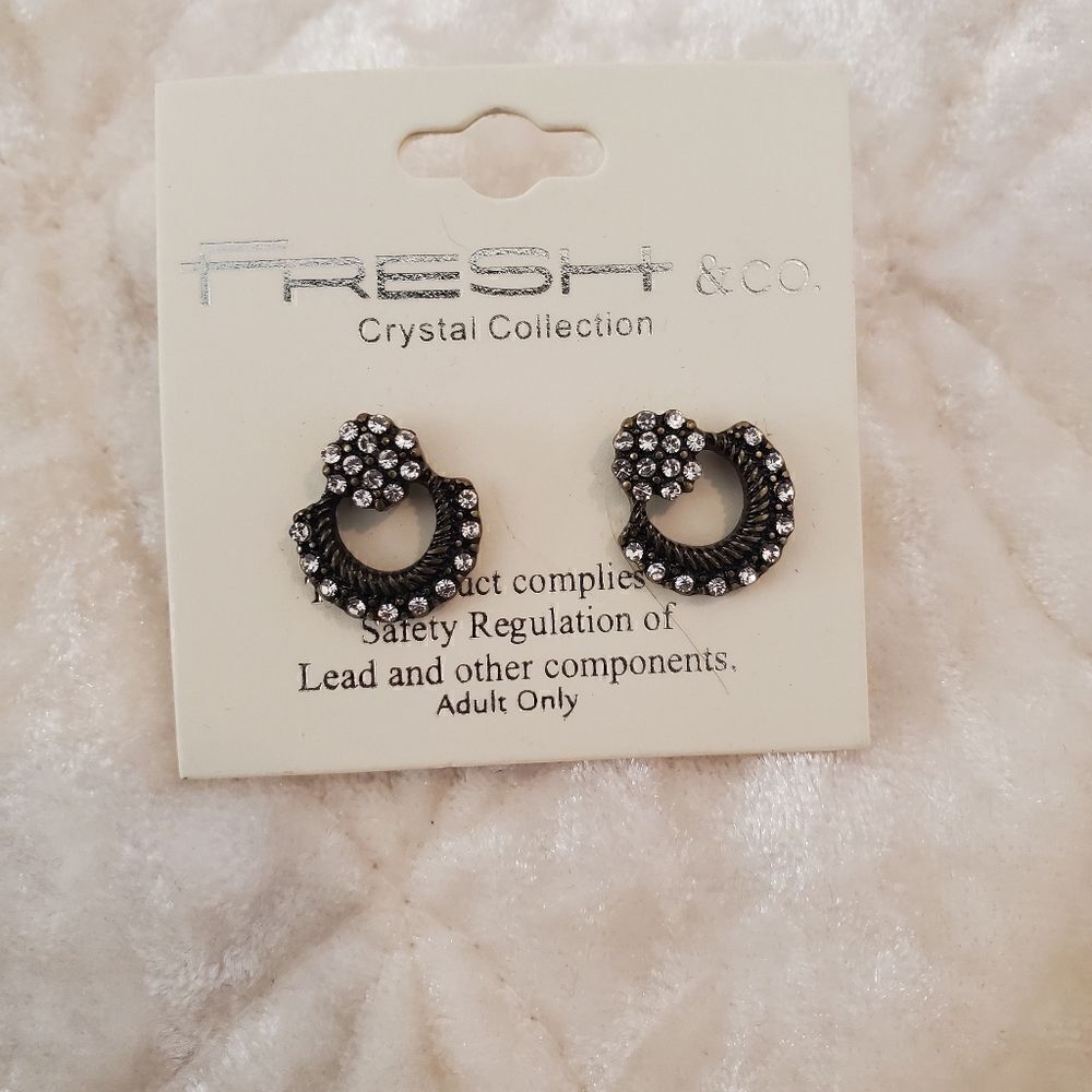 Women's Fashion Jewelry earrings